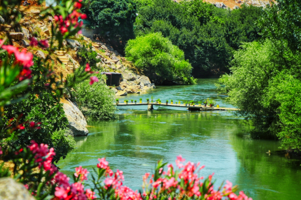 Visit Syria | روح سوريا