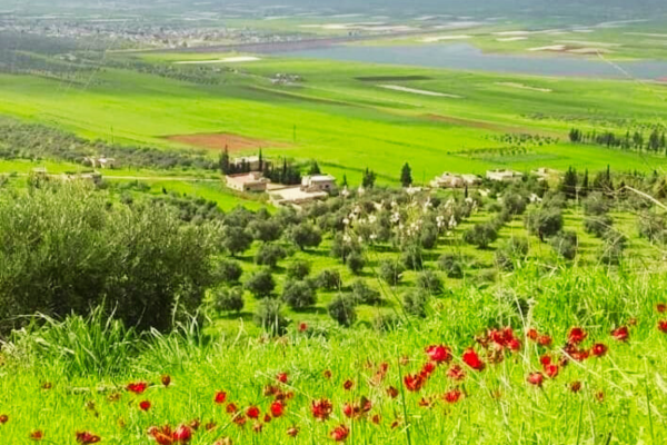 Visit Syria | روح سوريا